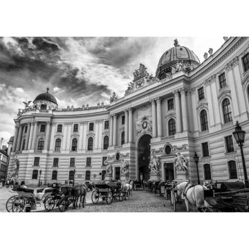 Lais Puzzle - Präsidentenresidenz, Wiener Hofburg, mit Fiakerpferden und Kutschen in der Wiener Innenstadt in Österreich in schwarz weiß - 1.000 Teile
