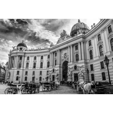 Lais Puzzle - Präsidentenresidenz, Wiener Hofburg, mit Fiakerpferden und Kutschen in der Wiener Innenstadt in Österreich in schwarz weiß - 2.000 Teile