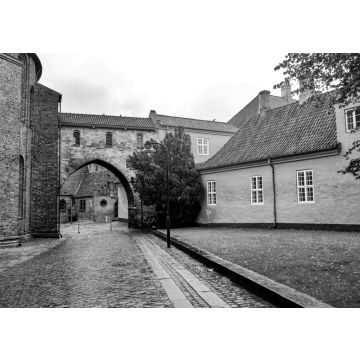 Lais Puzzle - Roskilde, Dänemark Das Gelände der Kathedrale von Roskilde und Grabstätte der dänischen Könige in schwarz weiß - 500, 1.000 & 2.000 Teile