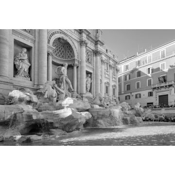 Lais Puzzle - Der berühmte Trevi-Brunnen oder Fontana de Trevi im Zentrum von Rom in schwarz weiß - 2.000 Teile