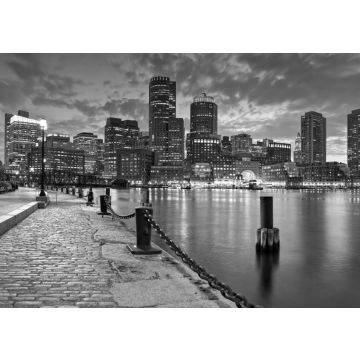 Lais Puzzle - Boston in schwarz weiß - 500, 1.000 & 2.000 Teile