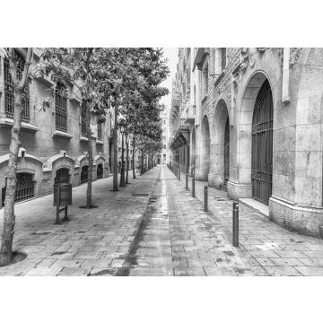 Lais Puzzle - Malerische Straße im Stadtteil La Ribera, Barcelona, Katalonien, Spanien in schwarz weiß - 500, 1.000 & 2.000 Teile