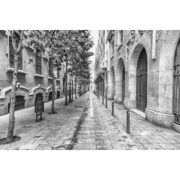 Lais Puzzle - Malerische Straße im Stadtteil La Ribera, Barcelona, Katalonien, Spanien in schwarz weiß - 2.000 Teile