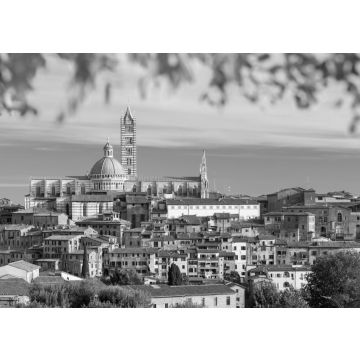 Lais Puzzle - Schöner Blick auf die Kuppel und den Campanile des Doms von Siena, den Duomo di Siena und die Altstadt der mittelalterlichen Stadt Siena in schwarz weiß - 500, 1.000 & 2.000 Teile