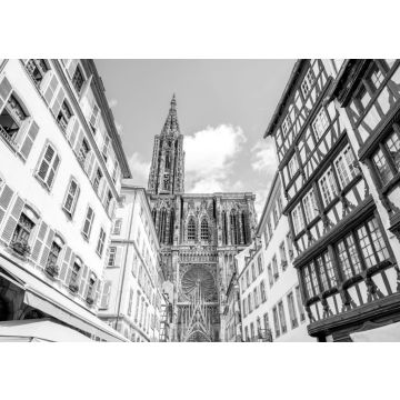 Lais Puzzle - Straßenansicht von unten auf die schönen alten Gebäude und die Kathedrale Notre-Dame in der Stadt Straßburg in schwarz weiß - 500, 1.000 & 2.000 Teile