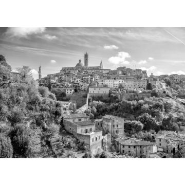 Lais Puzzle - Die Skyline der italienischen Innenstadt von Siena in schwarz weiß - 500, 1.000 & 2.000 Teile