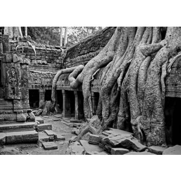 Lais Puzzle - Die antiken Ruinen von Angkor Wat in Kambodscha in schwarz weiß - 500, 1.000 & 2.000 Teile