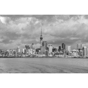 Lais Puzzle - Auckland Neuseeland Stadtbild Panorama-Ansicht in schwarz weiß - 2.000 Teile