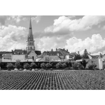 Lais Puzzle - Meursault, Burgund, Frankreich in schwarz weiß - 500, 1.000 & 2.000 Teile