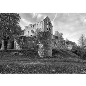 Lais Puzzle - Minneburg im Herbstwald in schwarz weiß - 500, 1.000 & 2.000 Teile