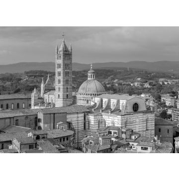 Lais Puzzle - Siena. Die Kathedrale an einem sonnigen Nachmittag in schwarz weiß - 500, 1.000 & 2.000 Teile