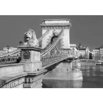 Lais Puzzle - Nahaufnahme der historischen Freiheitsbrücke über die Donau in Budapest, Ungarn in schwarz weiß - 500, 1.000 & 2.000 Teile