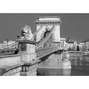Lais Puzzle - Nahaufnahme der historischen Freiheitsbrücke über die Donau in Budapest, Ungarn in schwarz weiß - 1.000 Teile