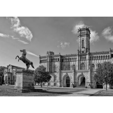 Lais Puzzle - Leibniz Universität Hannover in schwarz weiß - 1.000 Teile
