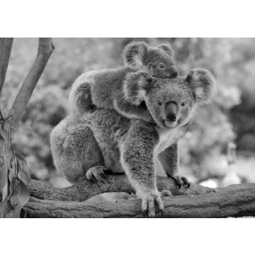 Lais Puzzle - Koala mit Baby auf dem Rücken in schwarz weiß - 500, 1.000 & 2.000 Teile