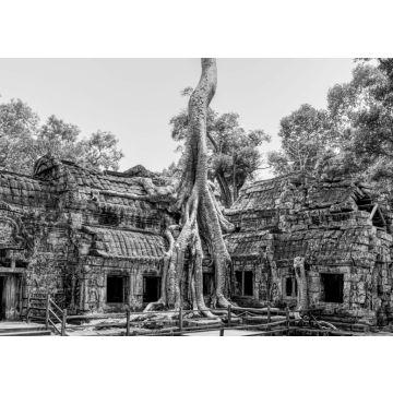 Lais Puzzle - Ta-Prohm-Tempel, Kambodscha in schwarz weiß - 500, 1.000 & 2.000 Teile