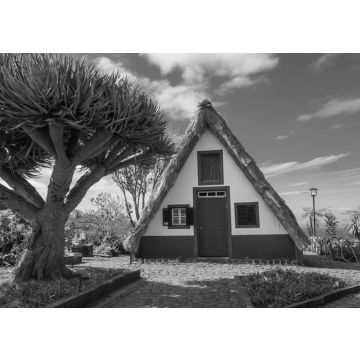 Lais Puzzle - Traditionelle alte Hütte und tropischer Baum im Dorf Santana, Insel Madeira, Portugal in schwarz weiß - 500, 1.000 & 2.000 Teile