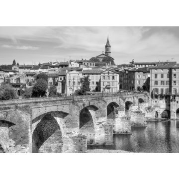 Lais Puzzle - Albi, Frankreich in schwarz weiß - 500, 1.000 & 2.000 Teile
