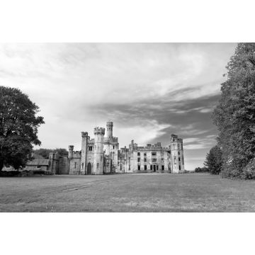 Lais Puzzle - Die Türme und Türmchen von Ducketts Grove, einer Hausruine aus dem 19. Jahrhundert und einem ehemaligen Anwesen in Irland in schwarz weiß - 2.000 Teile