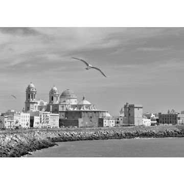 Lais Puzzle - Die Kuppel der Kathedrale von Cádiz (Catedral Nueva) an der Strandpromenade Campo del Sur in Cádiz, Andalusien in schwarz weiß - 500, 1.000 & 2.000 Teile