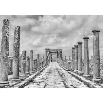 Lais Puzzle - Timgad, Ruinen einer römisch-berberischen Stadt in Algerien in schwarz weiß - 500, 1.000 & 2.000 Teile
