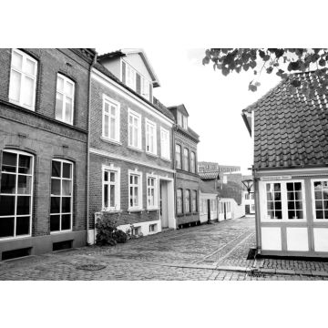 Lais Puzzle - Altstadt von Odense, Dänemark in schwarz weiß - 500, 1.000 & 2.000 Teile