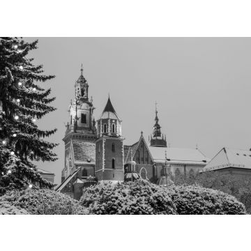 Lais Puzzle - Das Wawel-Schloss in Krakau in der Dämmerung. Krakau ist eines der berühmtesten Wahrzeichen Polens in schwarz weiß - 500, 1.000 & 2.000 Teile