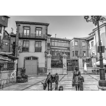 Lais Puzzle - Oviedo, Hauptstadt von Asturien, Spanien in schwarz weiß - 500, 1.000 & 2.000 Teile