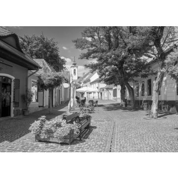 Lais Puzzle - Malerischer Blick auf die Altstadt von Szentendre, Ungarn an einem sonnigen Sommertag in schwarz weiß - 500, 1.000 & 2.000 Teile
