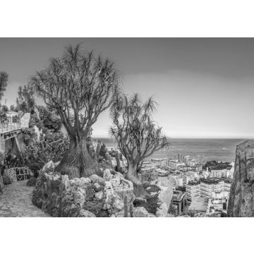 Lais Puzzle - Jardin Exotique Garten in Monaco in schwarz weiß - 500, 1.000 & 2.000 Teile