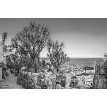Lais Puzzle - Jardin Exotique Garten in Monaco in schwarz weiß - 2.000 Teile