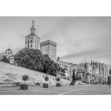 Lais Puzzle - Sonnenuntergangsansicht des Papstpalastes und der Kathedrale in Avignon, Frankreich in schwarz weiß - 500, 1.000 & 2.000 Teile