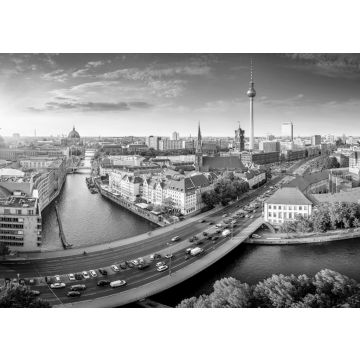 Lais Puzzle - Panoramablick auf das Berliner Stadtzentrum in schwarz weiß - 500, 1.000 & 2.000 Teile