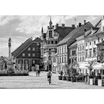 Lais Puzzle - Maribor Rathausplatz Slowenien Europa. Rathaus von Maribor und Pestsäule auf dem Hauptplatz, Untersteiermark, in Slowenien in schwarz weiß - 500, 1.000 & 2.000 Teile