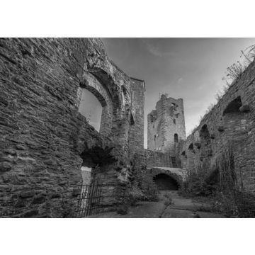 Lais Puzzle - Burgruine Henneburg bei Stadtprozelten in schwarz weiß - 500, 1.000 & 2.000 Teile