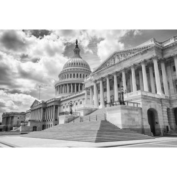 Lais Puzzle - Washington D.C. in schwarz weiß - 2.000 Teile
