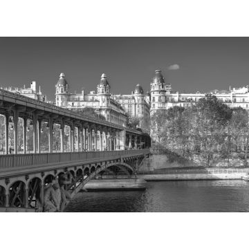 Lais Puzzle - Paris, Panorama im Herbst, die Bir-Hakeim-Brücke und schöne Pariser Gebäude, Blick auf die Seine in schwarz weiß - 1.000 Teile