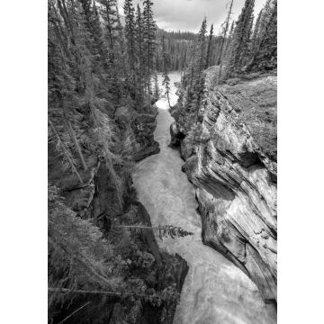 Lais Puzzle - Eine enge Schlucht am Icefield Parkway in British Columbia in schwarz weiß - 500, 1.000 & 2.000 Teile