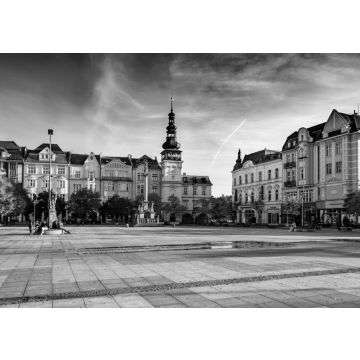Lais Puzzle - Rathaus auf dem Hauptplatz der Altstadt von Olomouc, Tschechische Republik in schwarz weiß - 500, 1.000 & 2.000 Teile