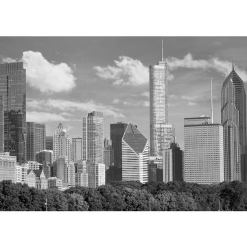 Lais Puzzle - Stadtbild von Chicago im Stadtzentrum, Vereinigte Staaten in schwarz weiß - 500, 1.000 & 2.000 Teile