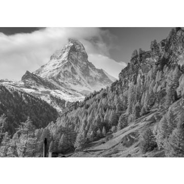 Lais Puzzle - Herbstpanorama des Matterhorns, Kanton Wallis, Schweiz in schwarz weiß - 500, 1.000 & 2.000 Teile