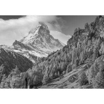 Lais Puzzle - Herbstpanorama des Matterhorns, Kanton Wallis, Schweiz in schwarz weiß - 1.000 Teile
