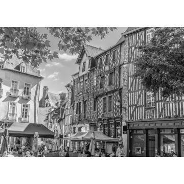 Lais Puzzle - Rennes in schwarz weiß - 1.000 Teile