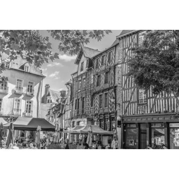 Lais Puzzle - Rennes in schwarz weiß - 2.000 Teile
