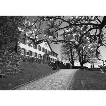 Lais Puzzle - Schloss Bürgeln bei Schliengen im Markgräflerland in schwarz weiß - 1.000 Teile