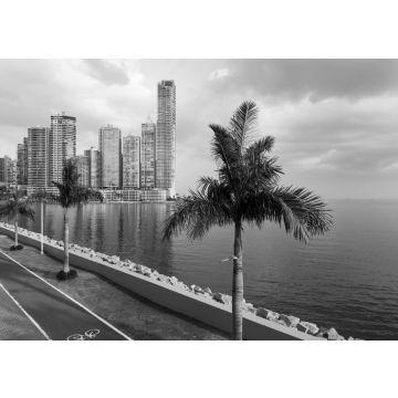 Lais Puzzle - Blick auf das Finanzviertel in der Innenstadt von Panama, Panama, mit einem Radweg und Palmen; Konzept für Reisen in Panama in schwarz weiß - 500, 1.000 & 2.000 Teile