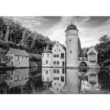 Lais Puzzle - Schönes romantisches Schloss Mespelbrunn in Deutschland in schwarz weiß - 500, 1.000 & 2.000 Teile