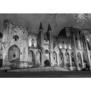 Lais Puzzle - Avignon, Palast des Papstes in schwarz weiß - 500, 1.000 & 2.000 Teile