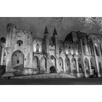 Lais Puzzle - Avignon, Palast des Papstes in schwarz weiß - 2.000 Teile