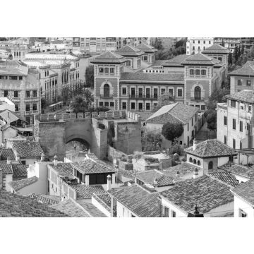 Lais Puzzle - Blick von der Aussichtsplattform Mirador de la Lona auf die Altstadt, den Triumphplatz und das Stadttor Puerta de Elvira, Granada, Andalusien, Spanien in schwarz weiß - 500, 1.000 & 2.000 Teile